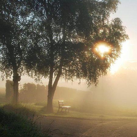 Schinderhanneshof Weitersborn Exteriér fotografie