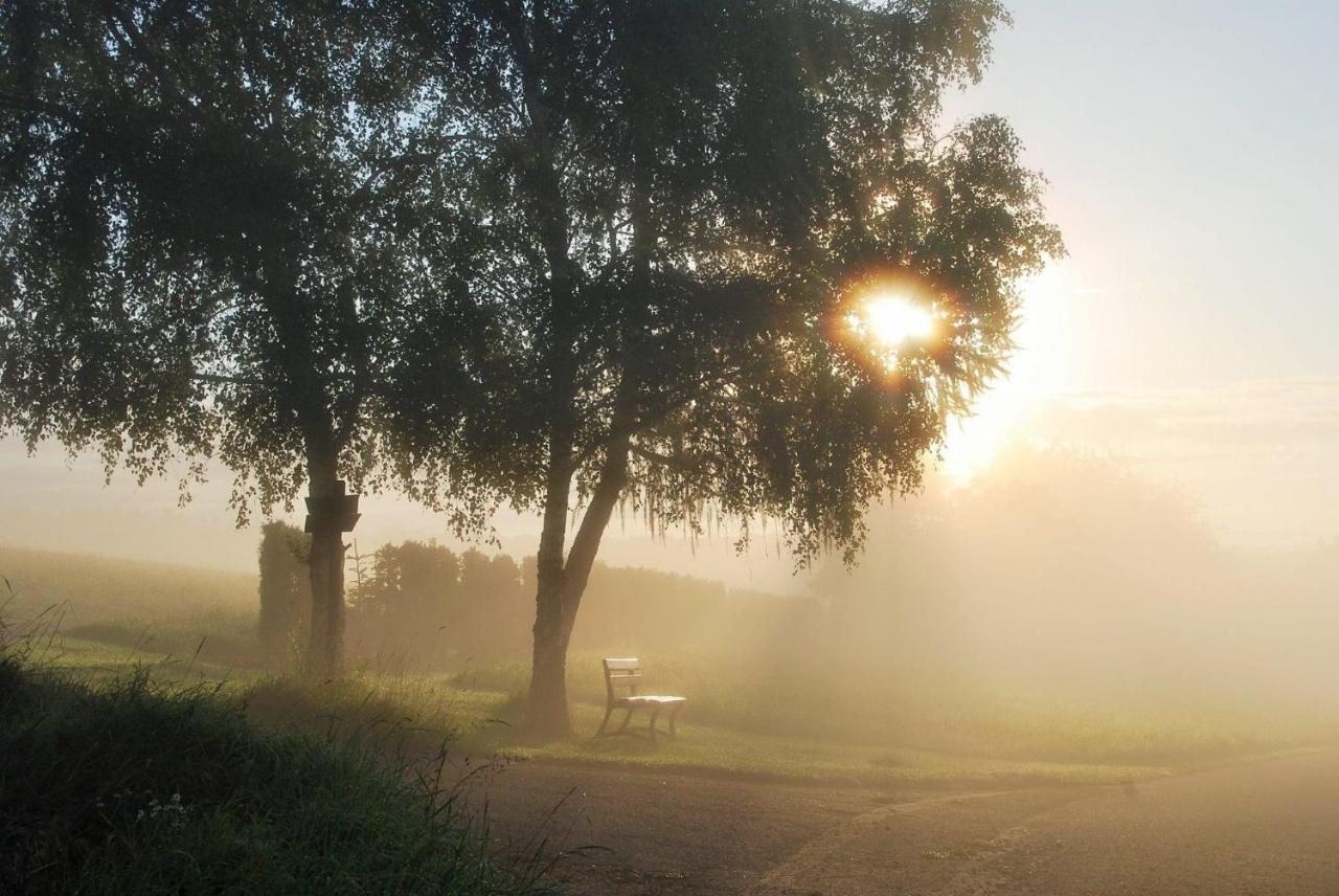 Schinderhanneshof Weitersborn Exteriér fotografie